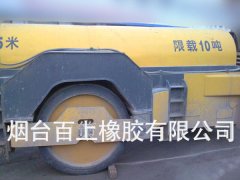 陽(yáng)極車輪胎-2